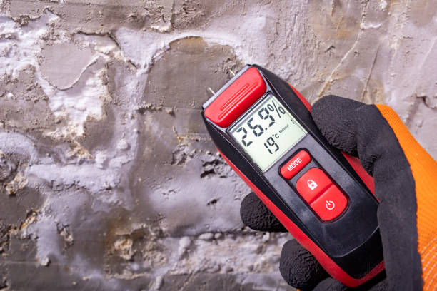 Best DIY Mold Remediation Support Services in Riverton, NJ