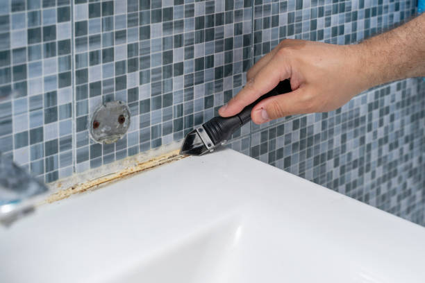 Best Residential Mold Remediation in Riverton, NJ